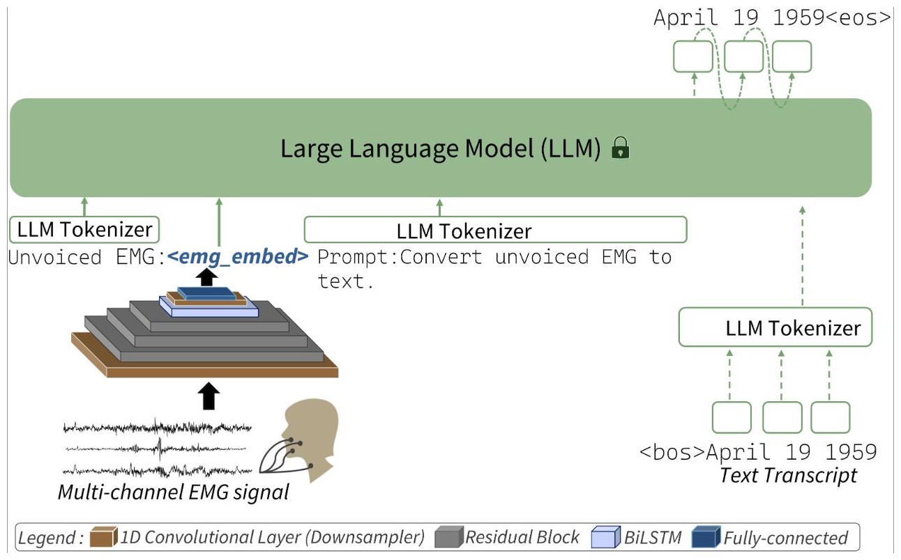 Converting unvoiced EMG signals to text with LLMs. <a href='/publications/#mohapatra_can_2025'>ACL 2025</a>